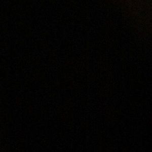 Meet your Posher, Irvin